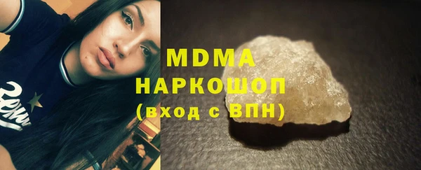 индика Гусь-Хрустальный