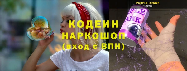 индика Гусь-Хрустальный