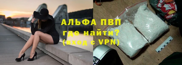 индика Гусь-Хрустальный