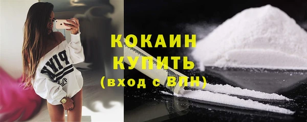 индика Гусь-Хрустальный