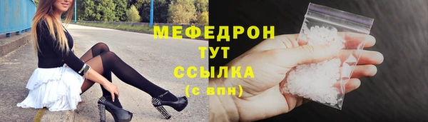 индика Гусь-Хрустальный