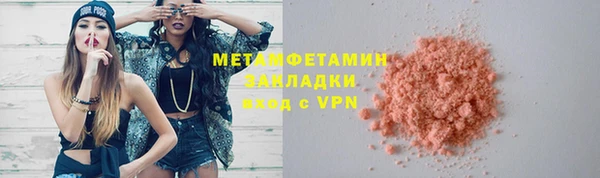 индика Гусь-Хрустальный