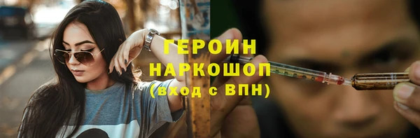 индика Гусь-Хрустальный