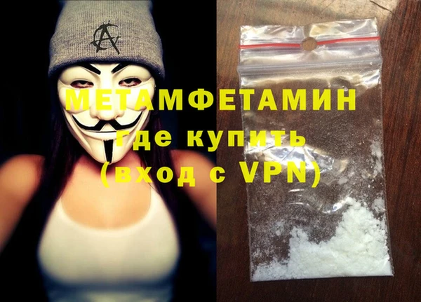 индика Гусь-Хрустальный