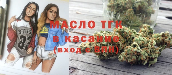 индика Гусь-Хрустальный