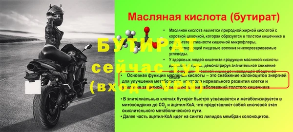 индика Гусь-Хрустальный