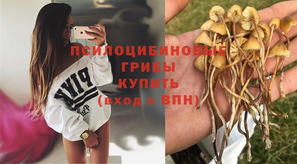 индика Гусь-Хрустальный