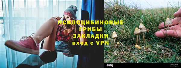а пвп мука Дмитровск