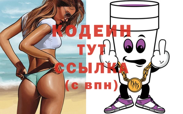 индика Гусь-Хрустальный