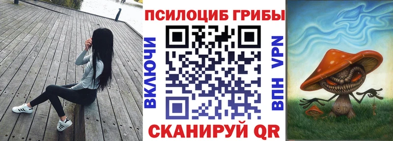 наркотики  Пятигорск  Галлюциногенные грибы мицелий 